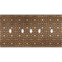 Placa del interruptor...