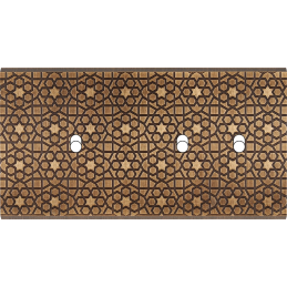 Placa de interrutor...