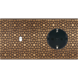 Placa del interruptor...