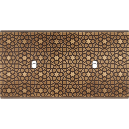 Placa de interrutor...