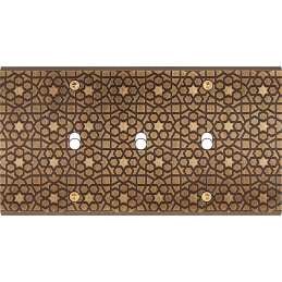 Placa del interruptor...