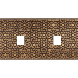 Placa del interruptor...