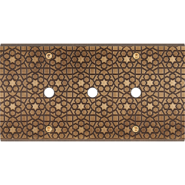 Switch plate Fascination...