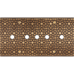 Placa del interruptor...