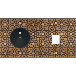 Placa del interruptor...