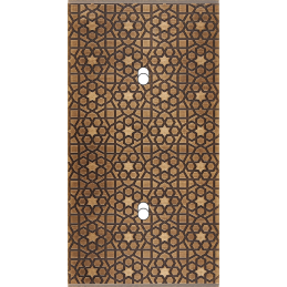 Placa del interruptor...