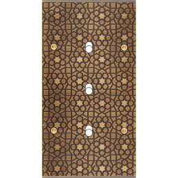 Switch plate Fascination...