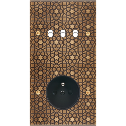 Switch plate Fascination...