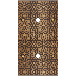 Placa del interruptor...