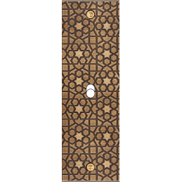 Placa de interrutor...