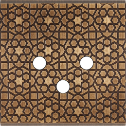 Placa del interruptor...