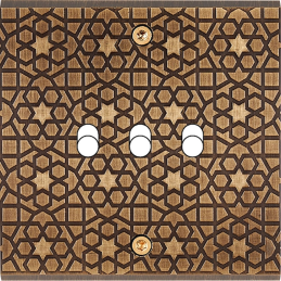 Switch plate Fascination...