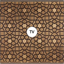 Placa del interruptor...