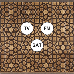 Placa de interrutor...