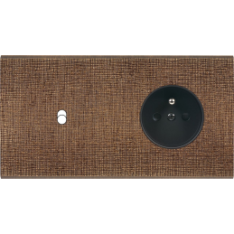 Placa del interruptor...