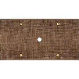 Placa del interruptor...