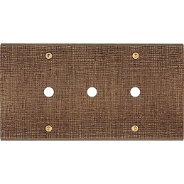 Placa del interruptor...