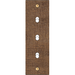 Placa del interruptor...