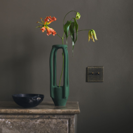 Switch plate Fascination...