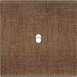 Placa del interruptor...