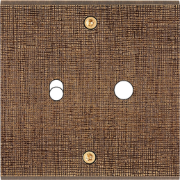 Placa del interruptor...