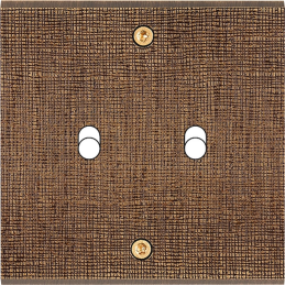 Placa del interruptor...