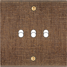 Placa de interrutor...