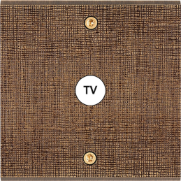 Placa de interrutor...