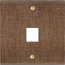 Switch plate Fascination...