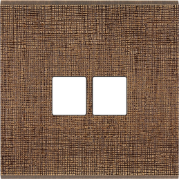 Placa del interruptor...