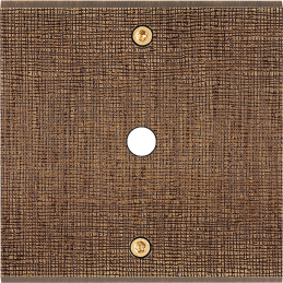 Placa del interruptor...