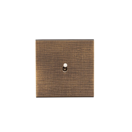 Placa del interruptor...