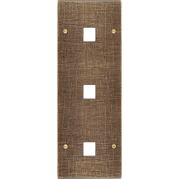 Placa del interruptor...