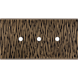 Switch plate Fascination...