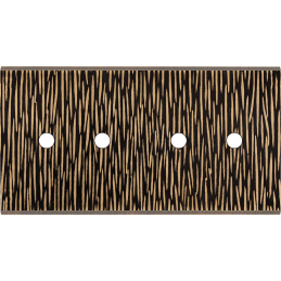 Placa del interruptor...