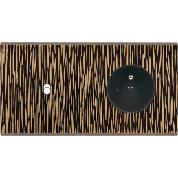 Placa del interruptor...