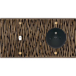 Placa de interrutor...