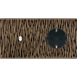 Placa del interruptor...