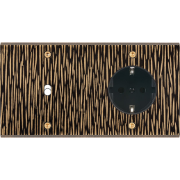 Placa de interrutor...