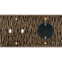 Placa de interrutor...