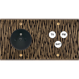 Placa del interruptor...