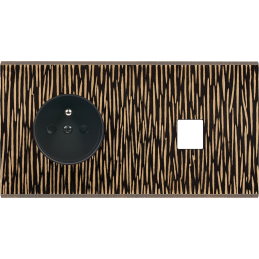 Placa del interruptor...