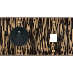 Placa del interruptor...