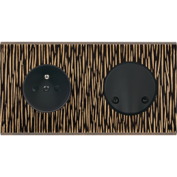 Switch plate Fascination...