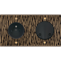 Placa de interrutor...