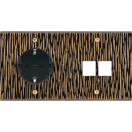 Placa del interruptor...