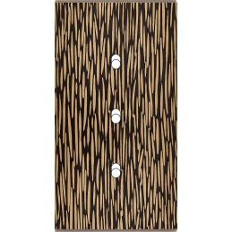 Placa del interruptor...