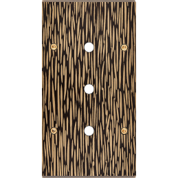 Placa del interruptor...