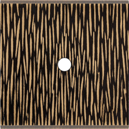 Switch plate Fascination...