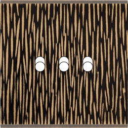 Switch plate Fascination...